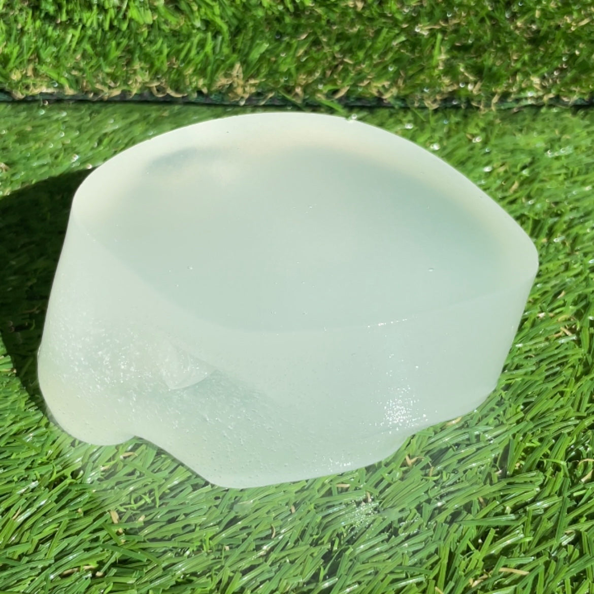 Fresh Aloe Jelly